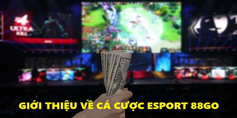 Hình ảnh minh họa: Đôi nét về cá cược eSport 88GO Hình ảnh minh họa: Đôi nét về cá cược eSport 88GO