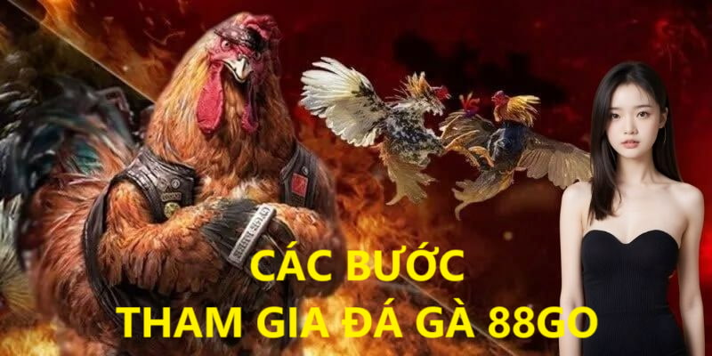 Ảnh minh họa: Các bước tham gia đặt cược chọi gà 88GO Ảnh minh họa: Các bước tham gia đặt cược chọi gà 88GO