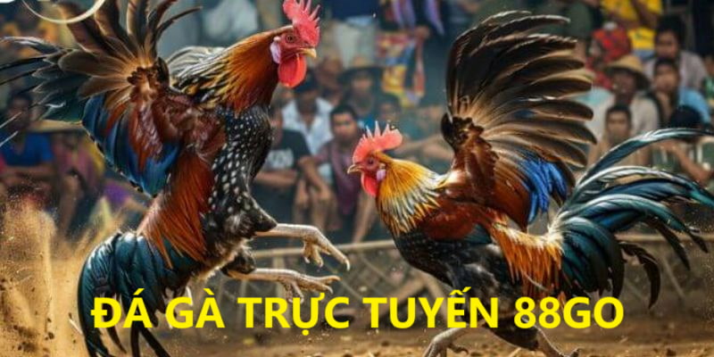Ảnh minh họa: Giới thiệu đá gà trực tuyến 88GO Ảnh minh họa: Giới thiệu đá gà trực tuyến 88GO