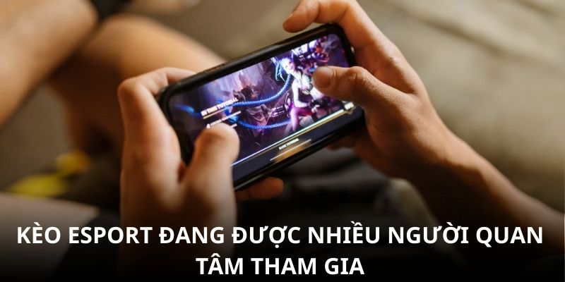 Kèo eSport đang được nhiều người quan tâm tham gia Kèo eSport đang được nhiều người quan tâm tham gia